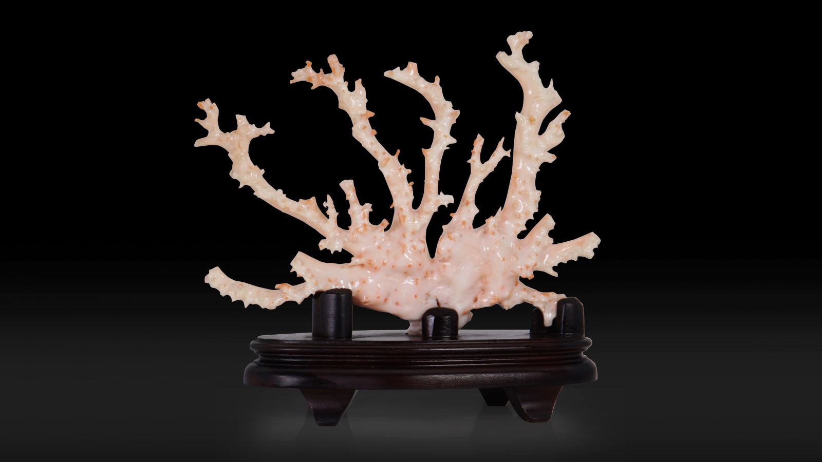 粉白珊瑚樹枝擺件